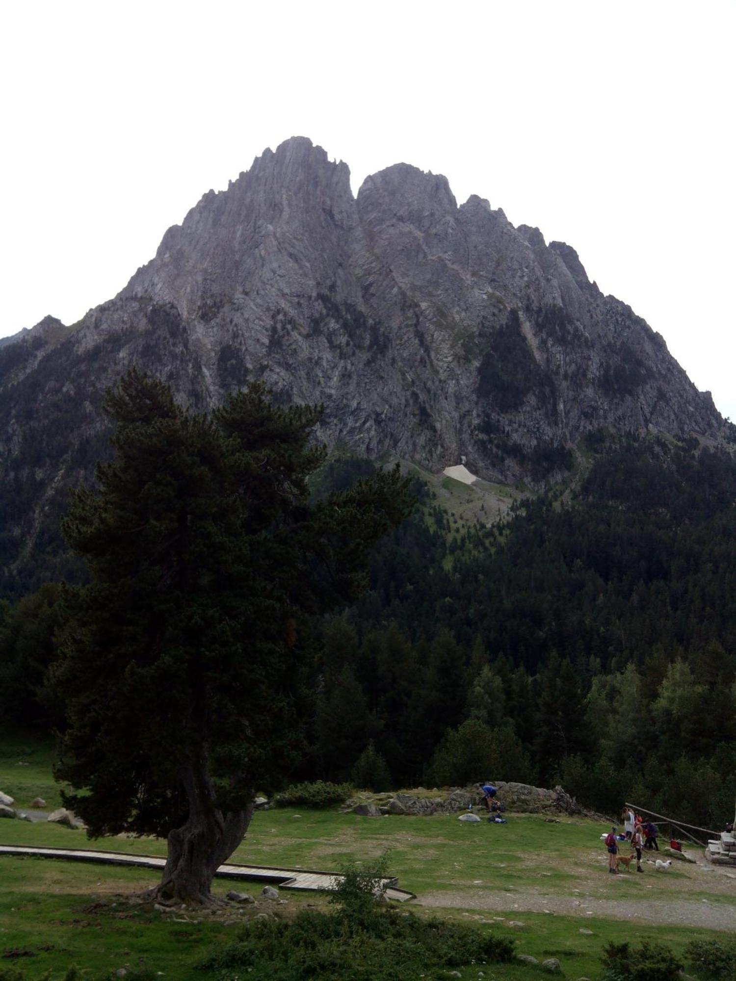 Apartaments L'Arrel Espot Esterno foto
